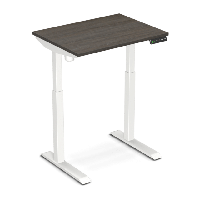 Elektrisch Zit Sta Bureau Studydesk 80 215 60 Cm